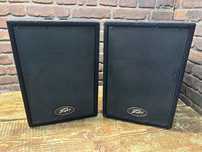 Kolumny Estradowe Peavey PVi10