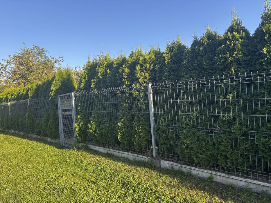 Ogródek działkowy z widokiem i domkiem – idealny na wypoczynek!