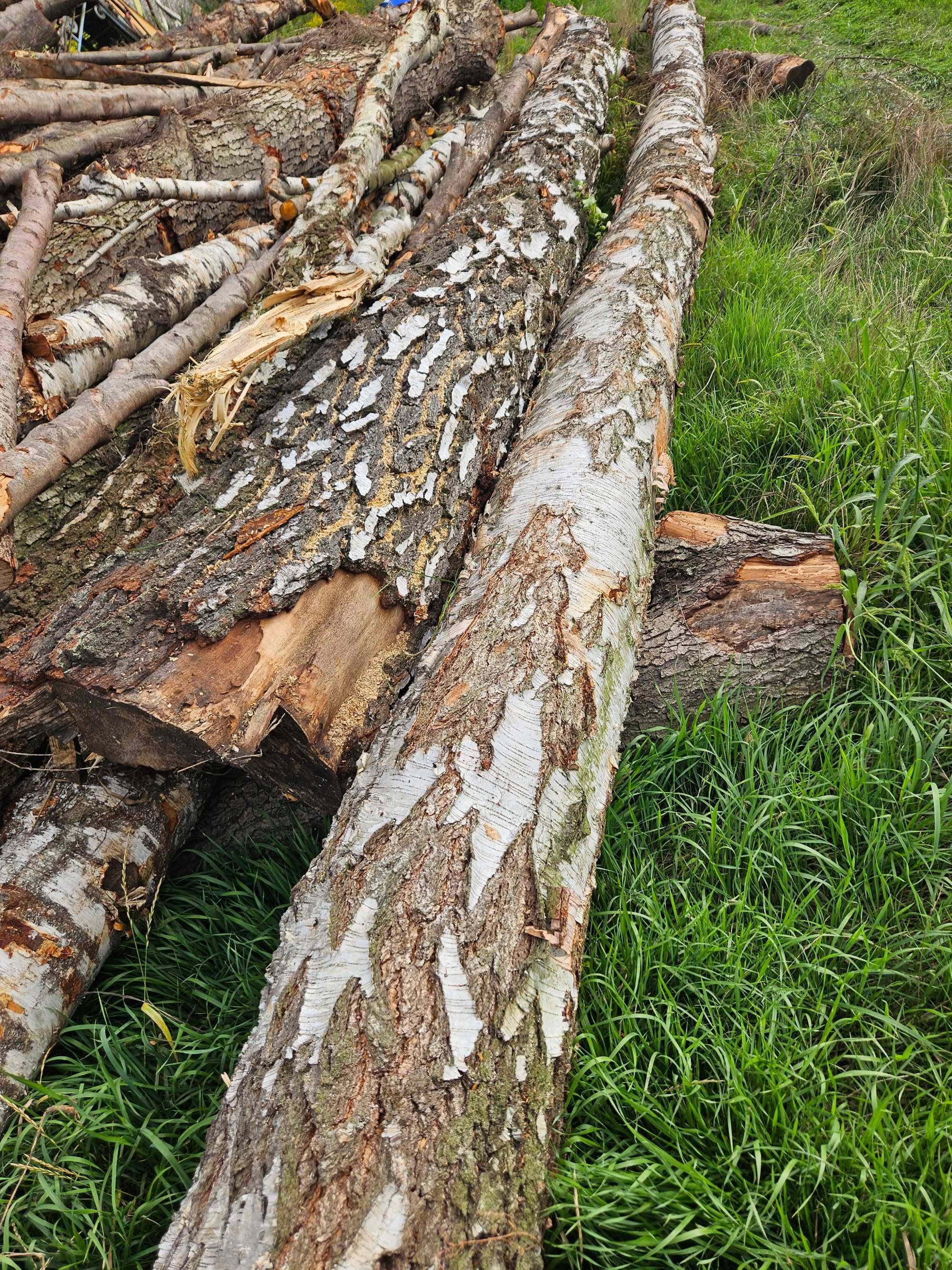 Drewno kominkowe opałowe lisciaste iglaste