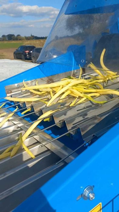 kombajn do fasolka szparagowa bób soja edamame FONTANA