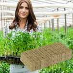 Pack 50 Cubos de Cultivo em Lã de Rocha para Germinação e Hidroponia