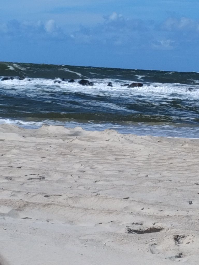 W końcu słońce na plaży 01-05.07, 17.08 wolny!