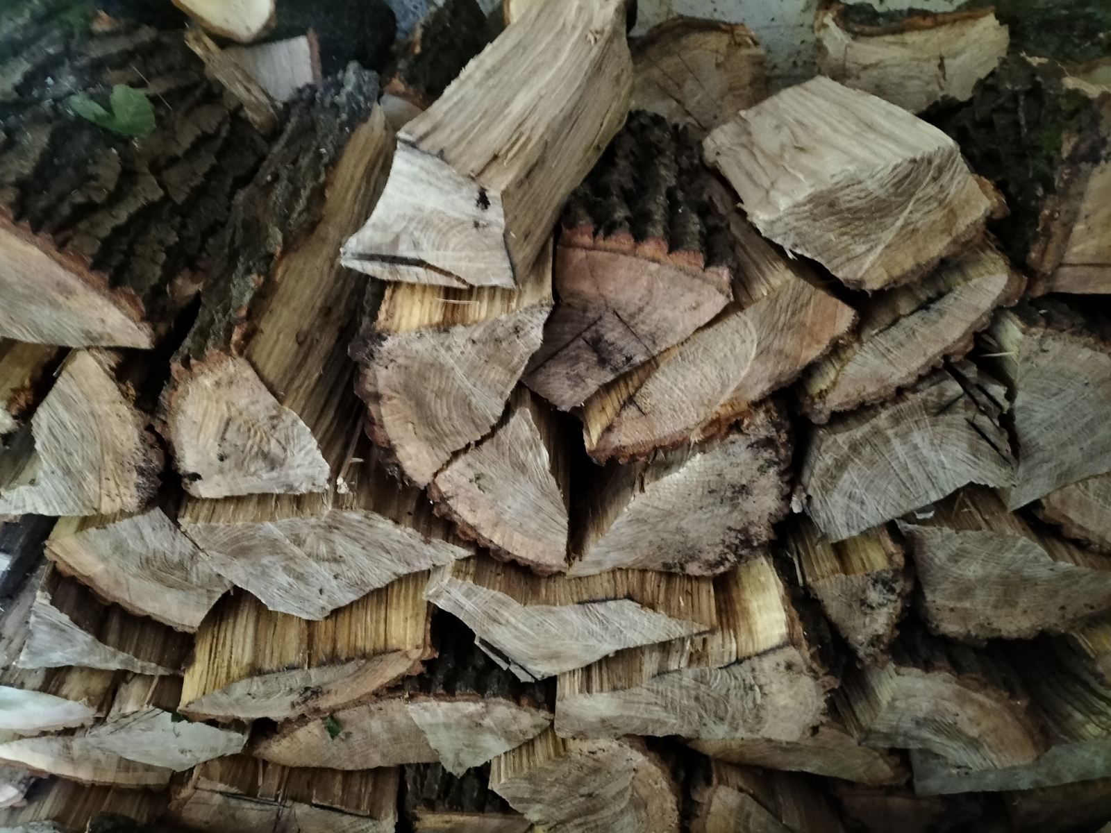 Drewno opałowe dębowe