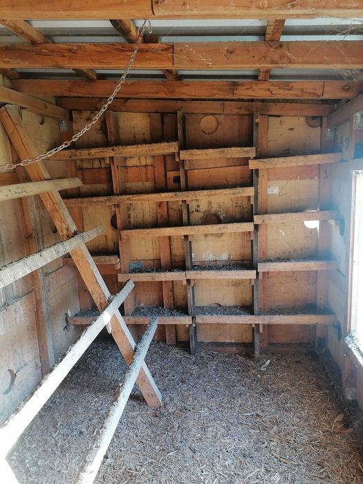 Duży kurnik / szopka