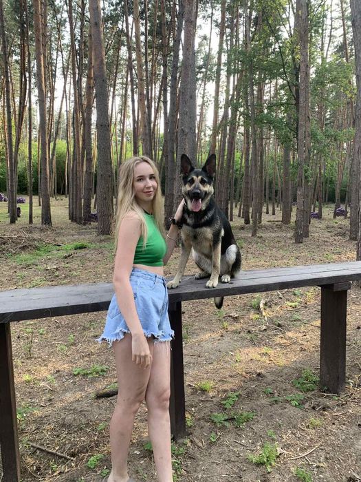 Продам щенков ВЕО