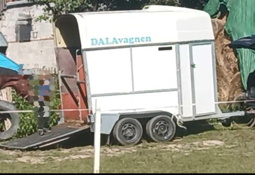 Przyczepa do przewozu  koni