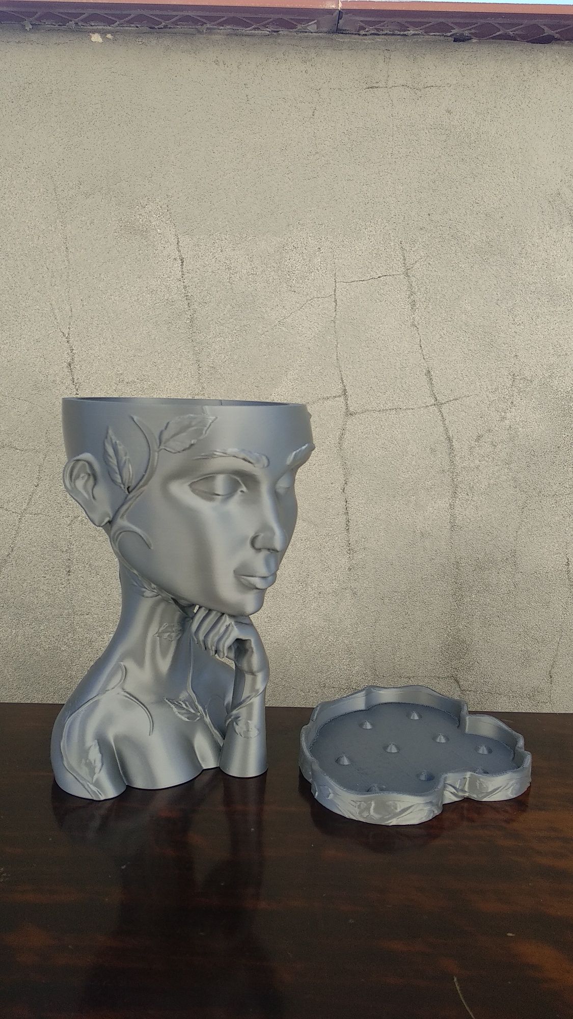 Vaso para suculentas