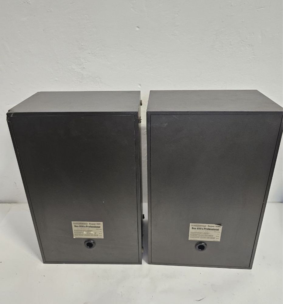 Kolumny Grinding Super Hifi Box 850a I, 50/80 W, Akustyka, głośników