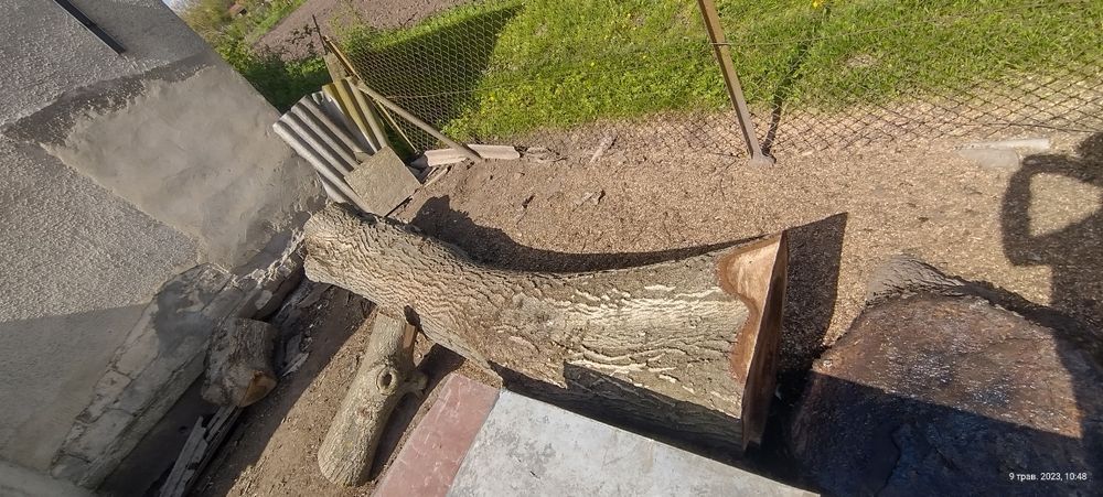 Продам дерево горіх!ціна договірна