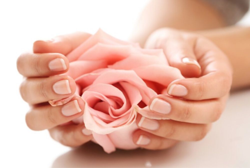 Абонемент на твою красу