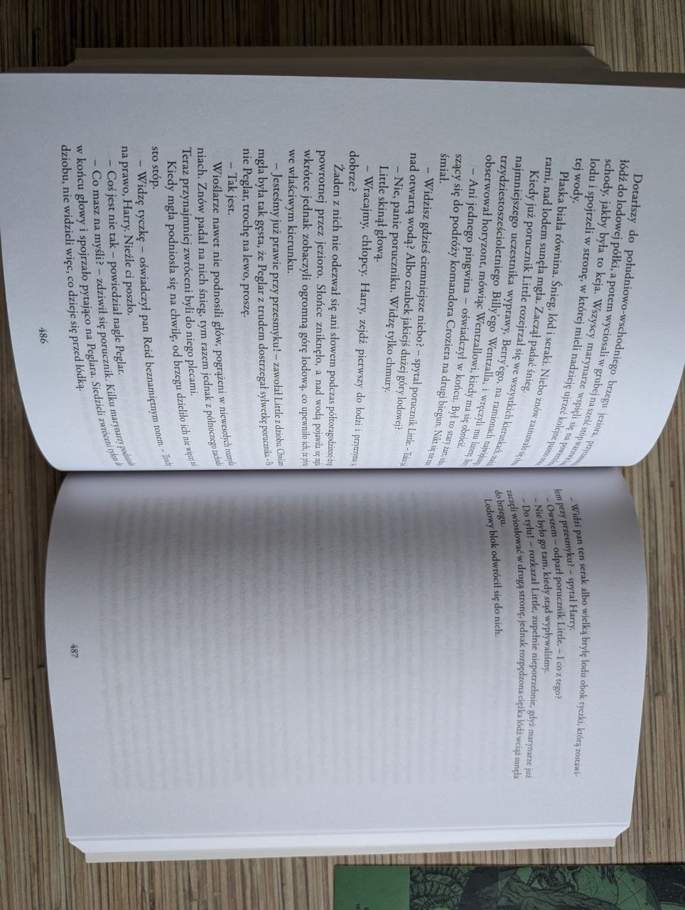 Dan Simmons Terror
