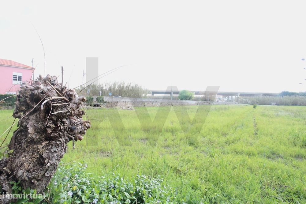 Lote Terreno Ribeira de Frades, 2430m2