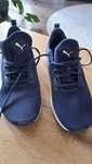 Nowe buty Puma roz.42