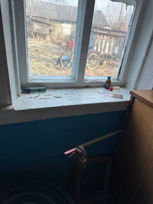 Продаж будинку з великою ділянкою 40 соток у селі Анисів
