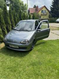 Seicento 900 Igła