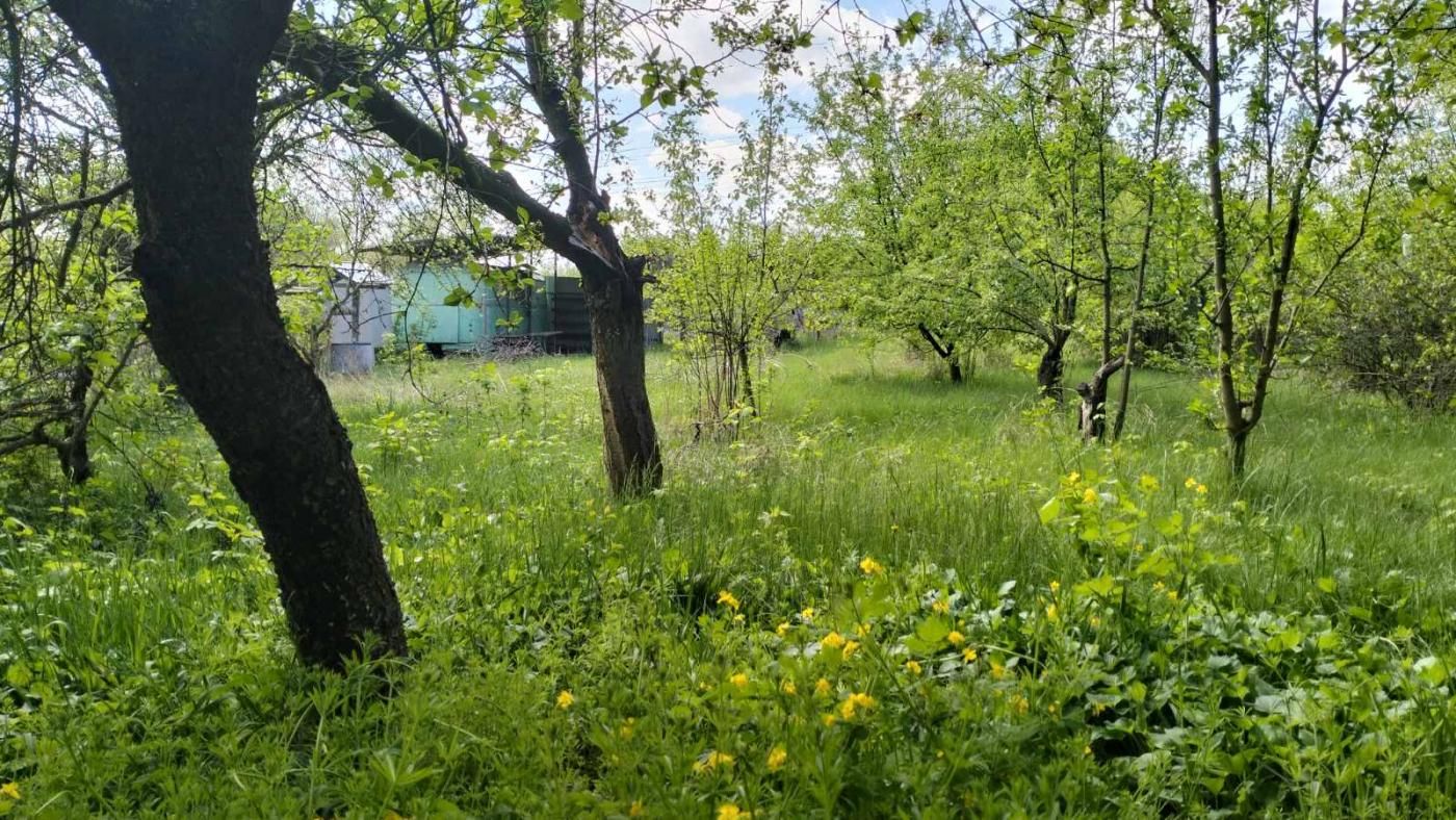 Продам реальний дачний уч-к, Передмістя, Миколаївка(Приват+кадастр)