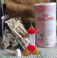 Royal Canin для котят