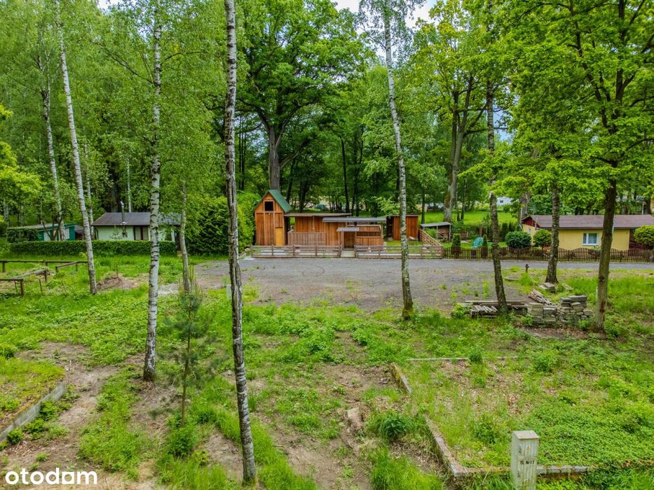 Działki turystyczno rekreacyjne w lesie