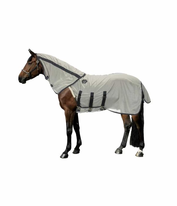 446C. Derka siatkowa, spacerowa, Felix Buhler Bilma Pro, 145cm