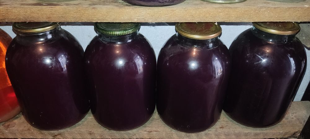 Домашній виноградний сік з елітних сортів винограду