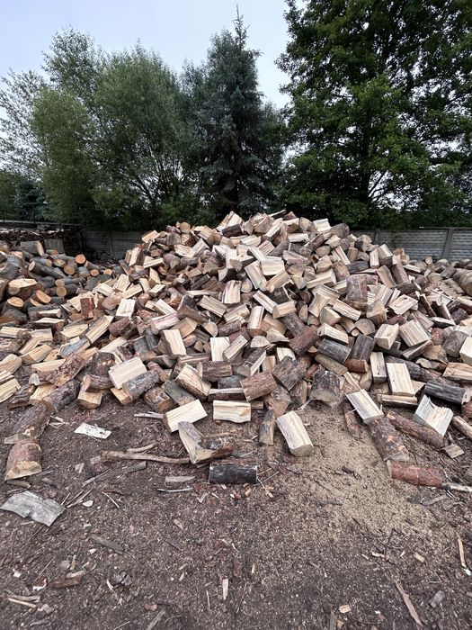 Drewno opalowe komikowe