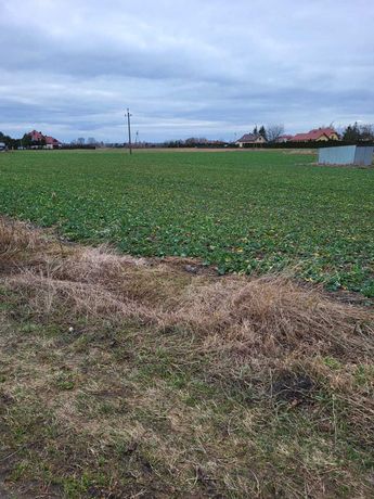 Działka budowlano-zagrodowa Krępiec ul.Szkolna