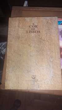 A cor de Lisboa livro Carlos botelho pintura