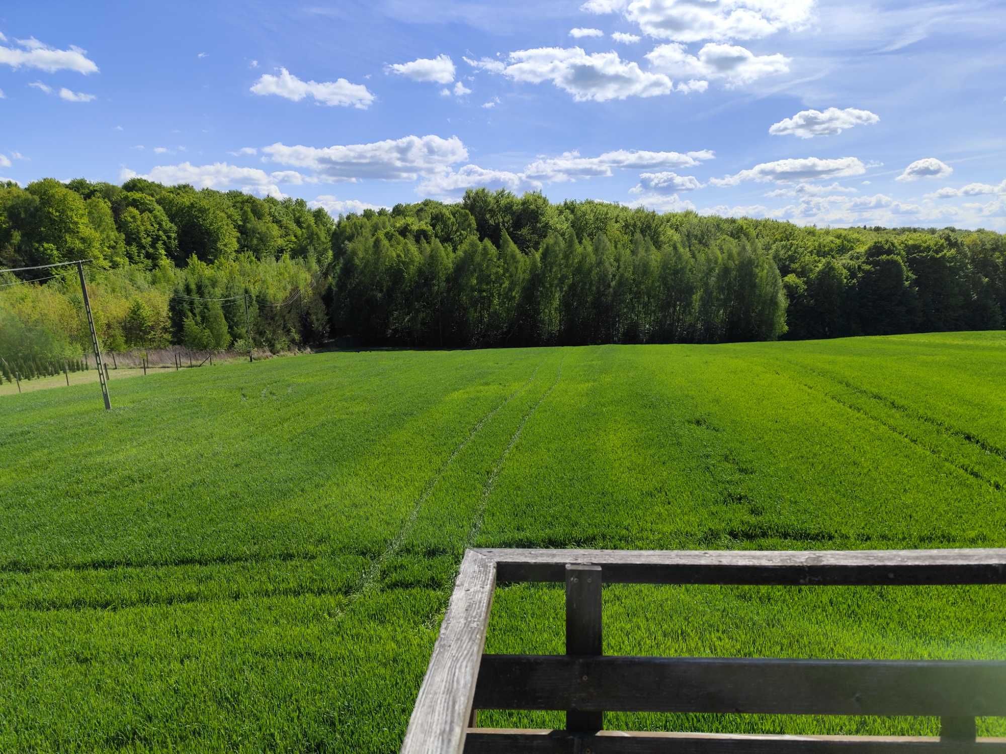 Domek przy lesie, Zaburze