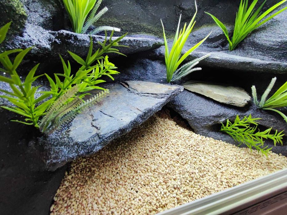 Terrarium pustynne nr687 60/40/40 dla gekona lamparciego DOSTĘPNE
