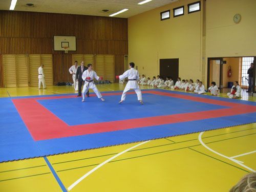 Pavimento Puzzle Tatami