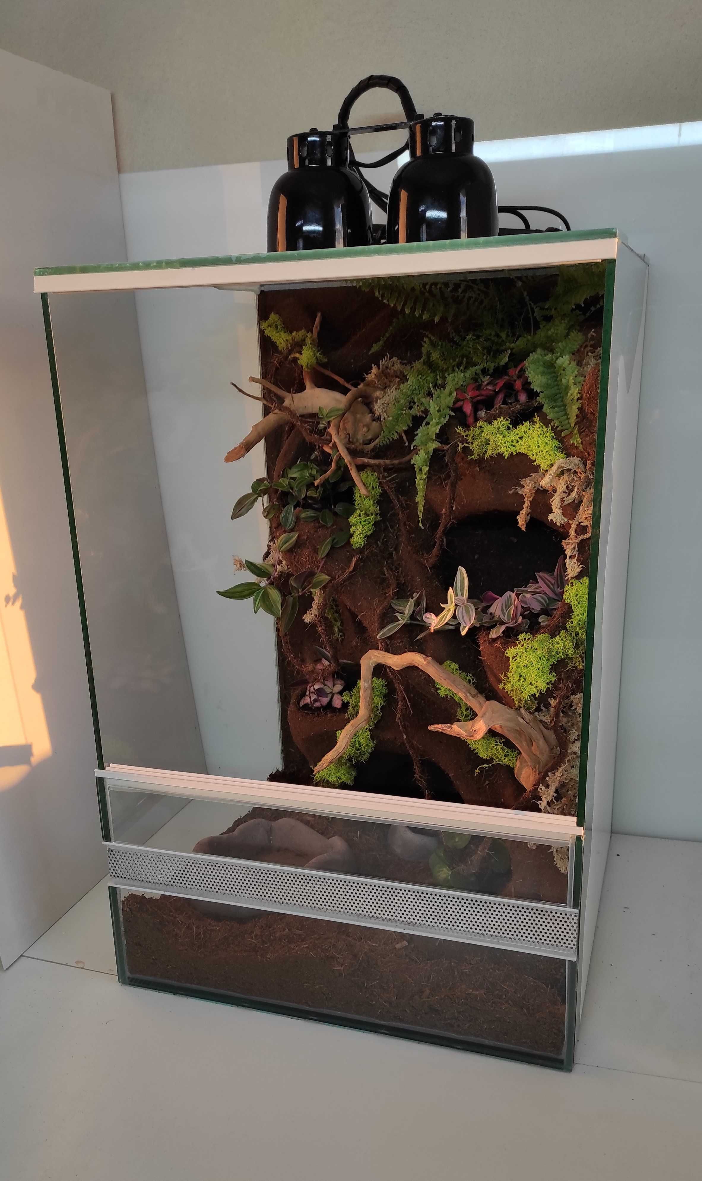 Terrarium dla felsumy, gekona z roślinami, TW10RG, AquaWaves