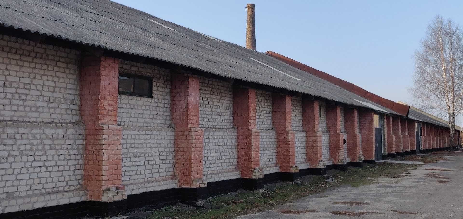 Оренда складських приміщень комерційна нерухомість різного призначення