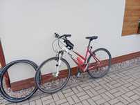 Rower Kellys Tina 19