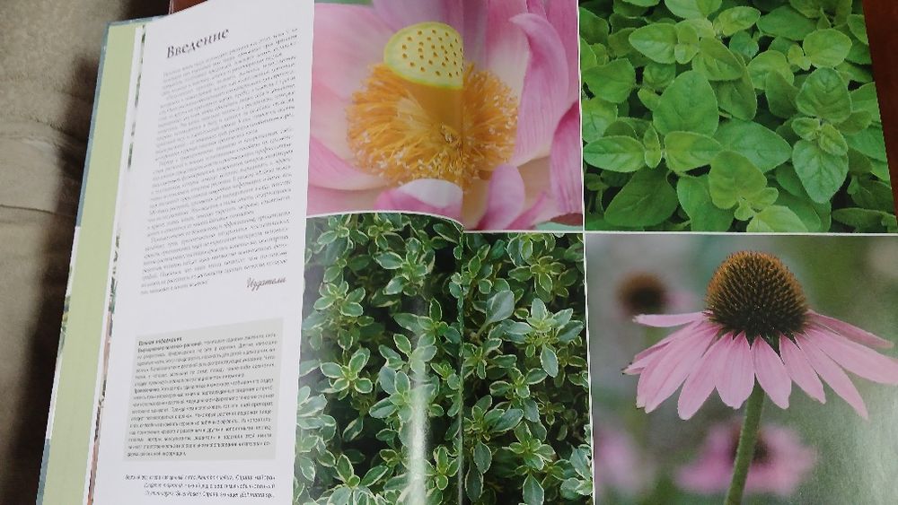 Все о травах и других полезных растениях Ридерз Дайджест Новая