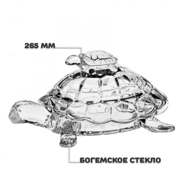 Цукерниця Доза черепаха кришталь Bohemia Boxes 265 мм (86)