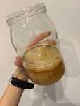 Kombucha kombucza grzyb herbaciany scoby
