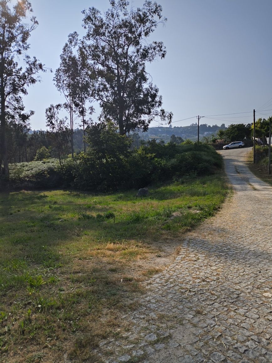 Lote de Terreno.