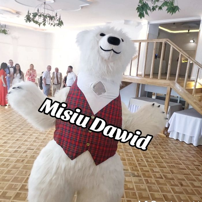 Biały Misiu miś panda na imprezę animacje Dawid misiek brązowy uroczys