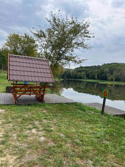 Продаж гарного діючого бізнесу Fish Forest