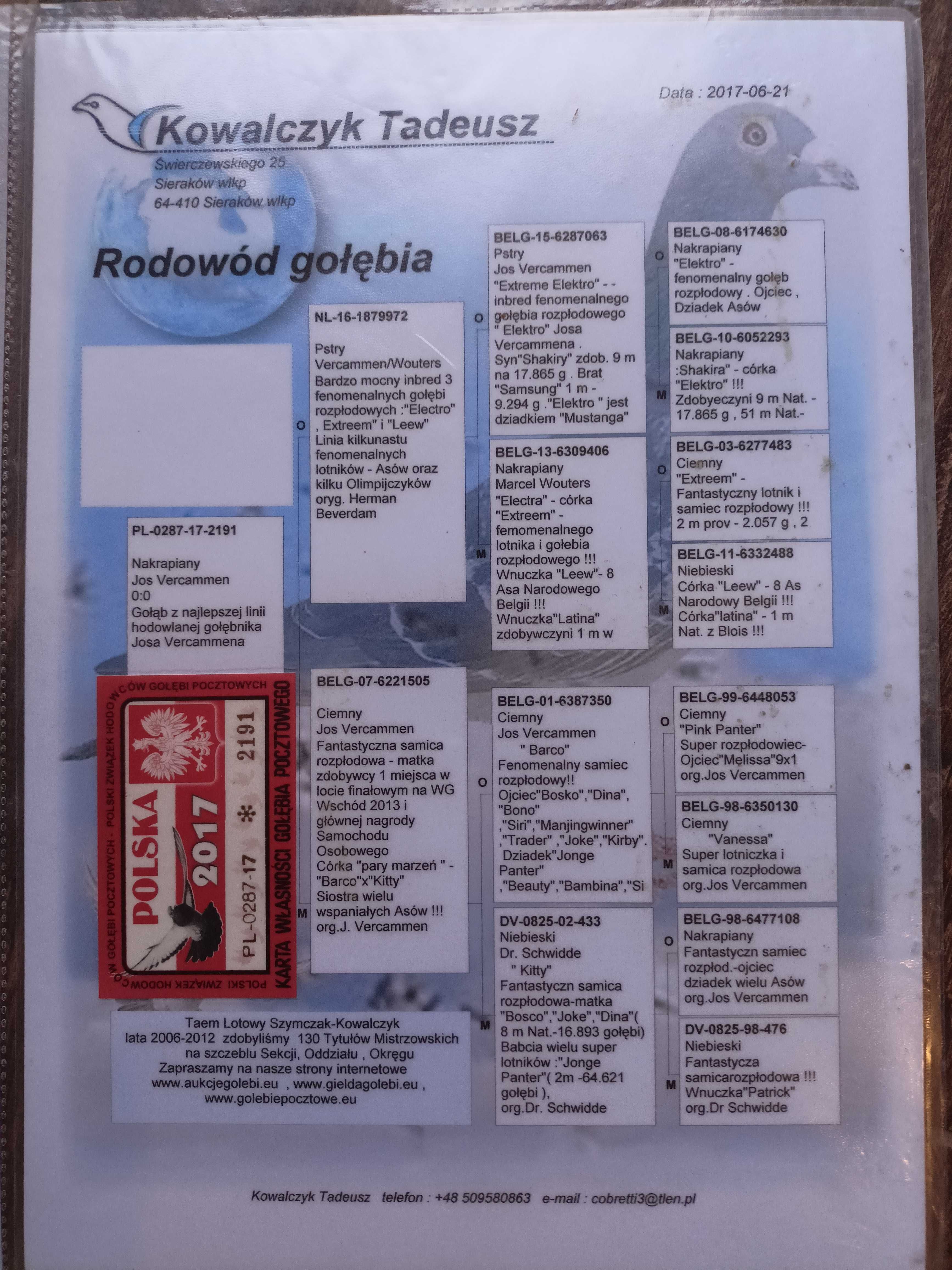 Kowalczyk Tadeusz Jos Vercammen