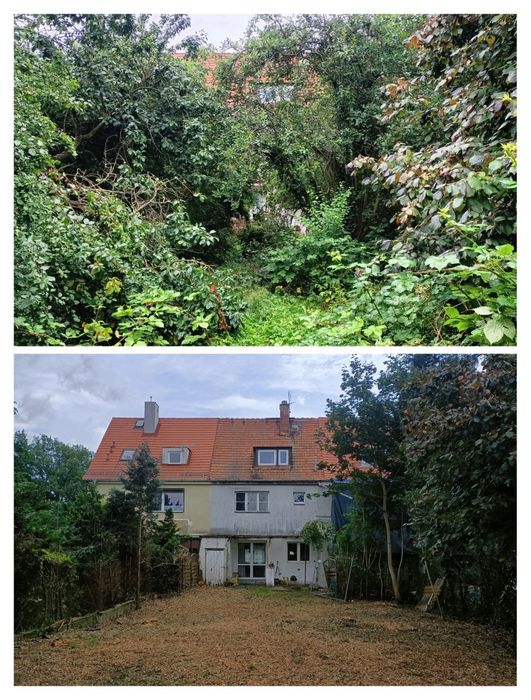 Czyszczenie działek Wycinka drzew