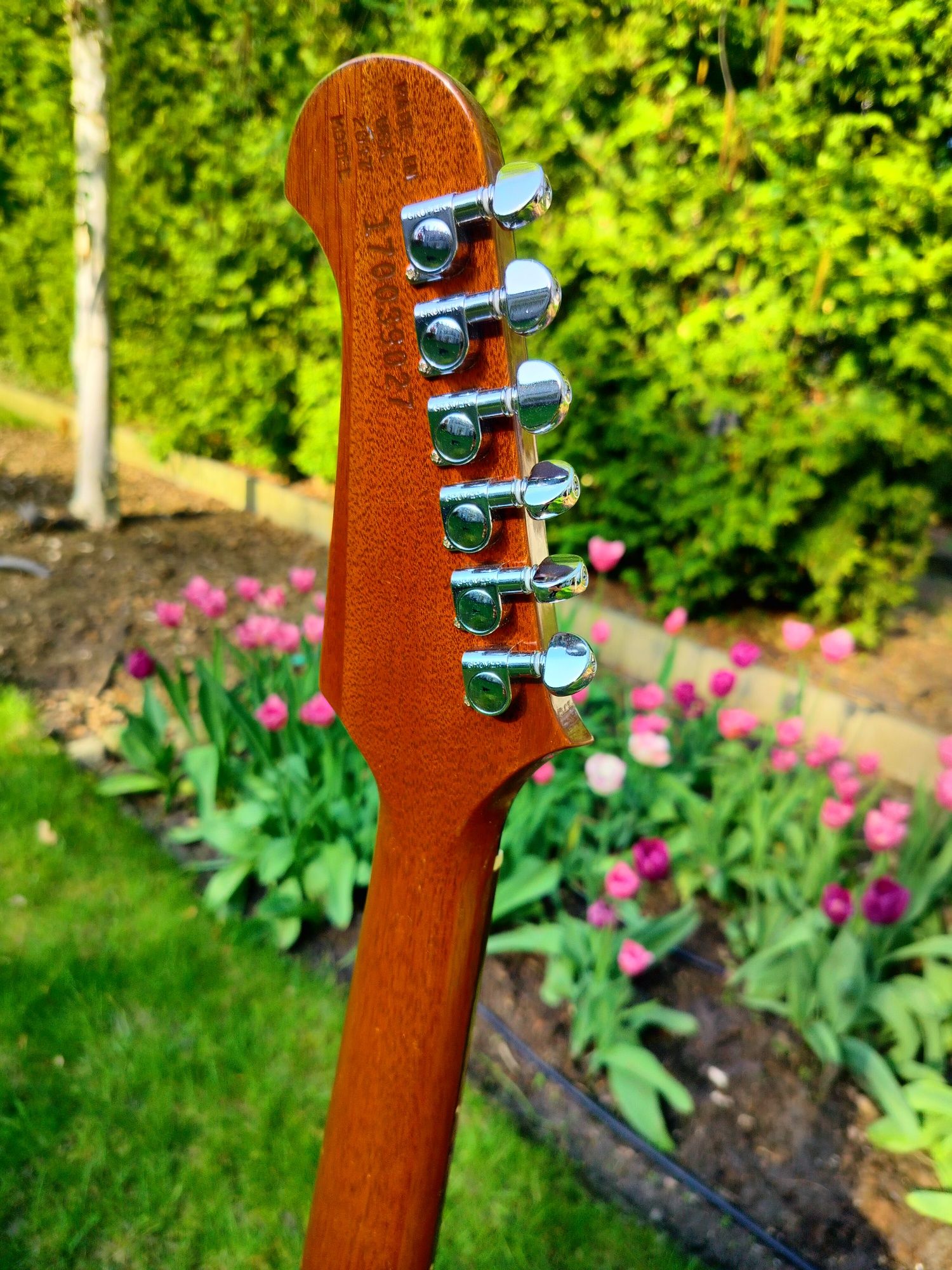 Gibson Firebird Studio 2017