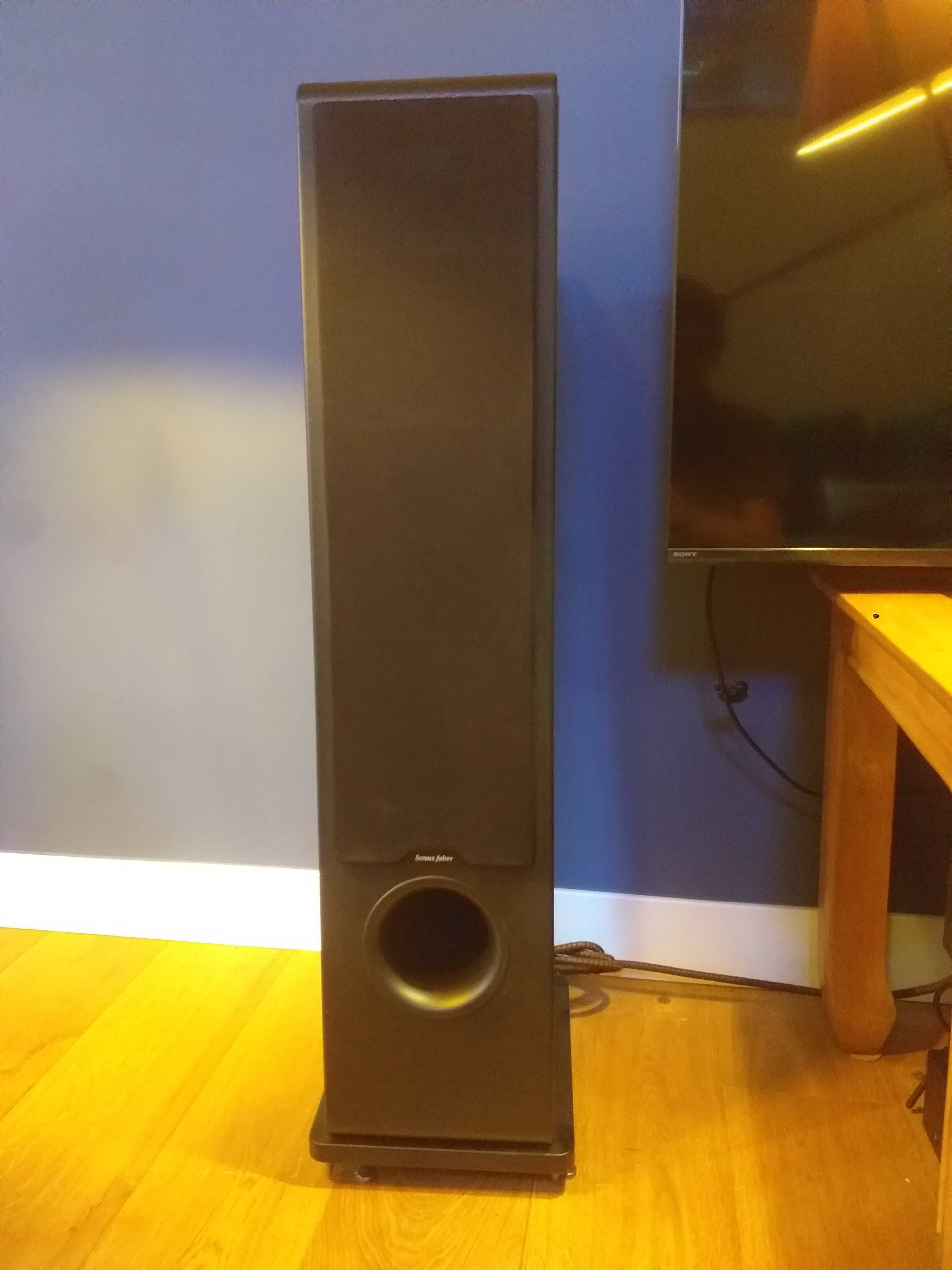 Kolumny Sonus  faber Chameleon T