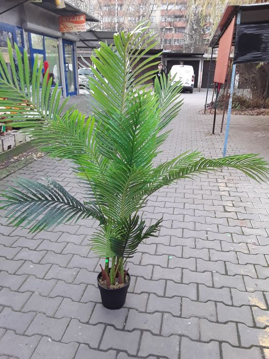 Sztuczna palma w doniczce
Cena 370 zł za sztukę. 

Palma ma