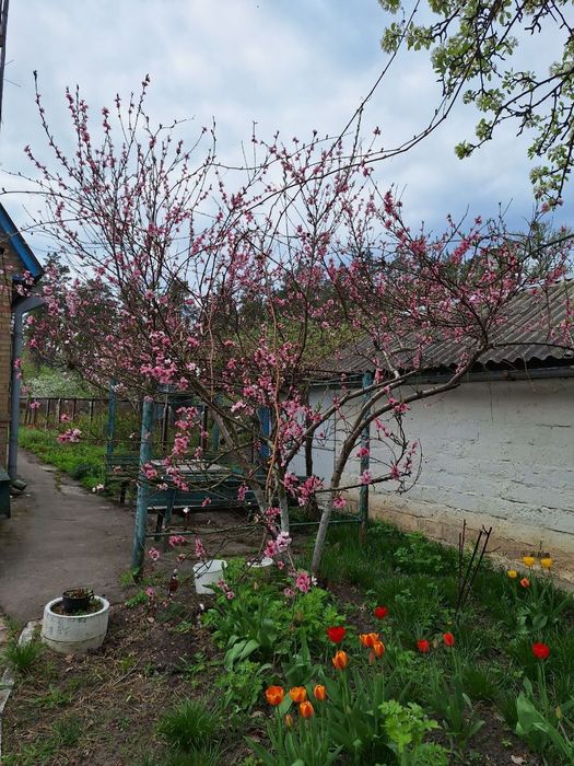 Продаж будинку в Ворзелі від хазяїна!