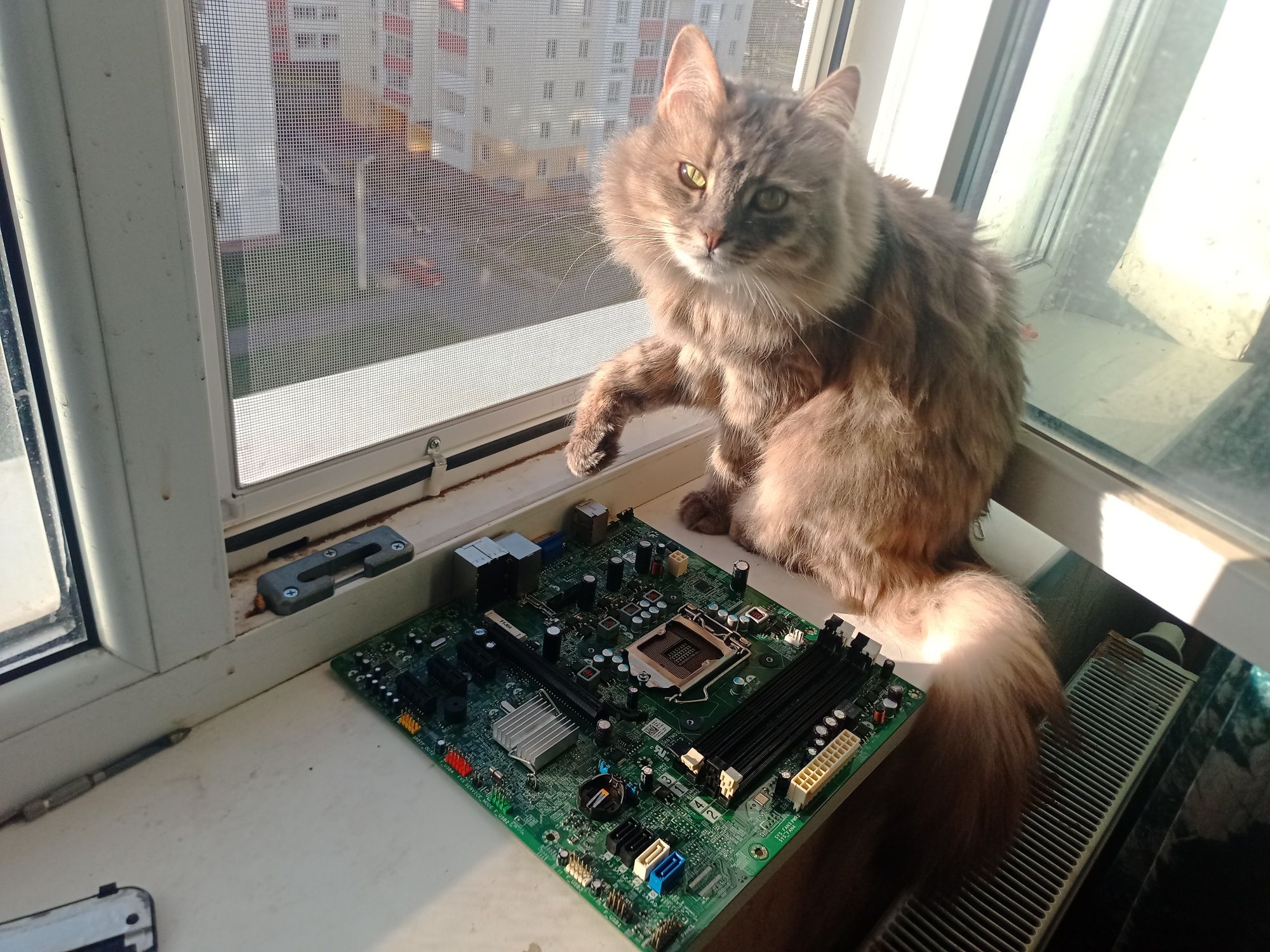 Материнська плата s1155 + 4gb DDR3
