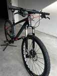 Bicicleta Focus Raven carbono 26