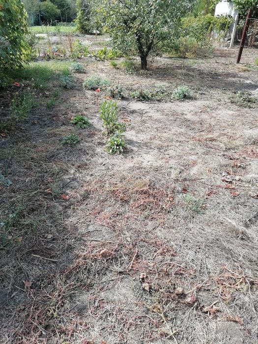 Продам дачный участок ПЗТО