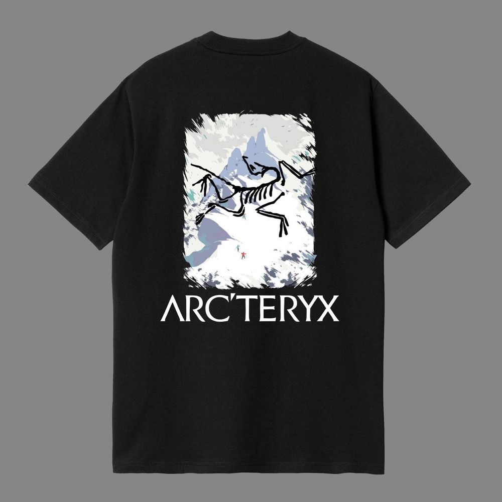 Футболка arcteryx // Оригинальная футболка arcteryx