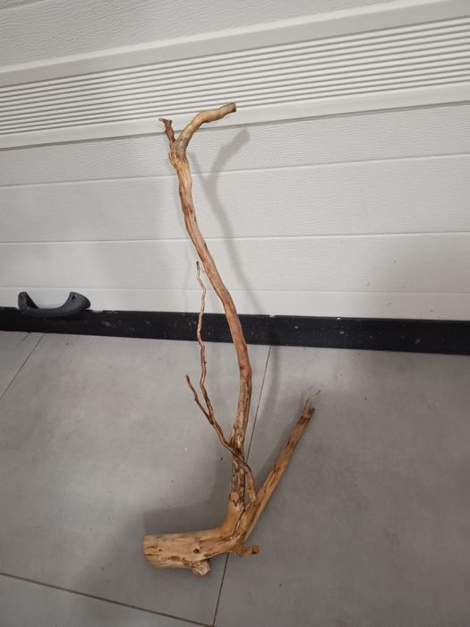 Długi, ciekawy naturalny korzeń do akwarium